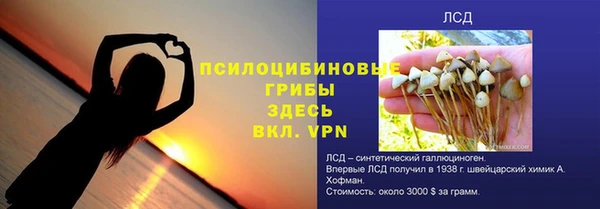 спиды Аркадак