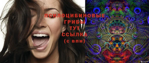 MESCALINE Иннополис