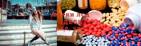спиды Аркадак